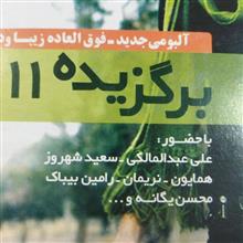 محسن
