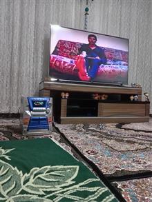ضبط