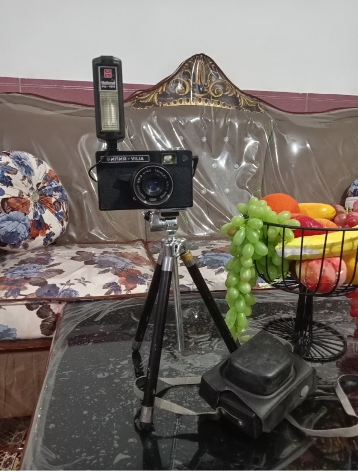 دوربین عکاسی کلکسیونی