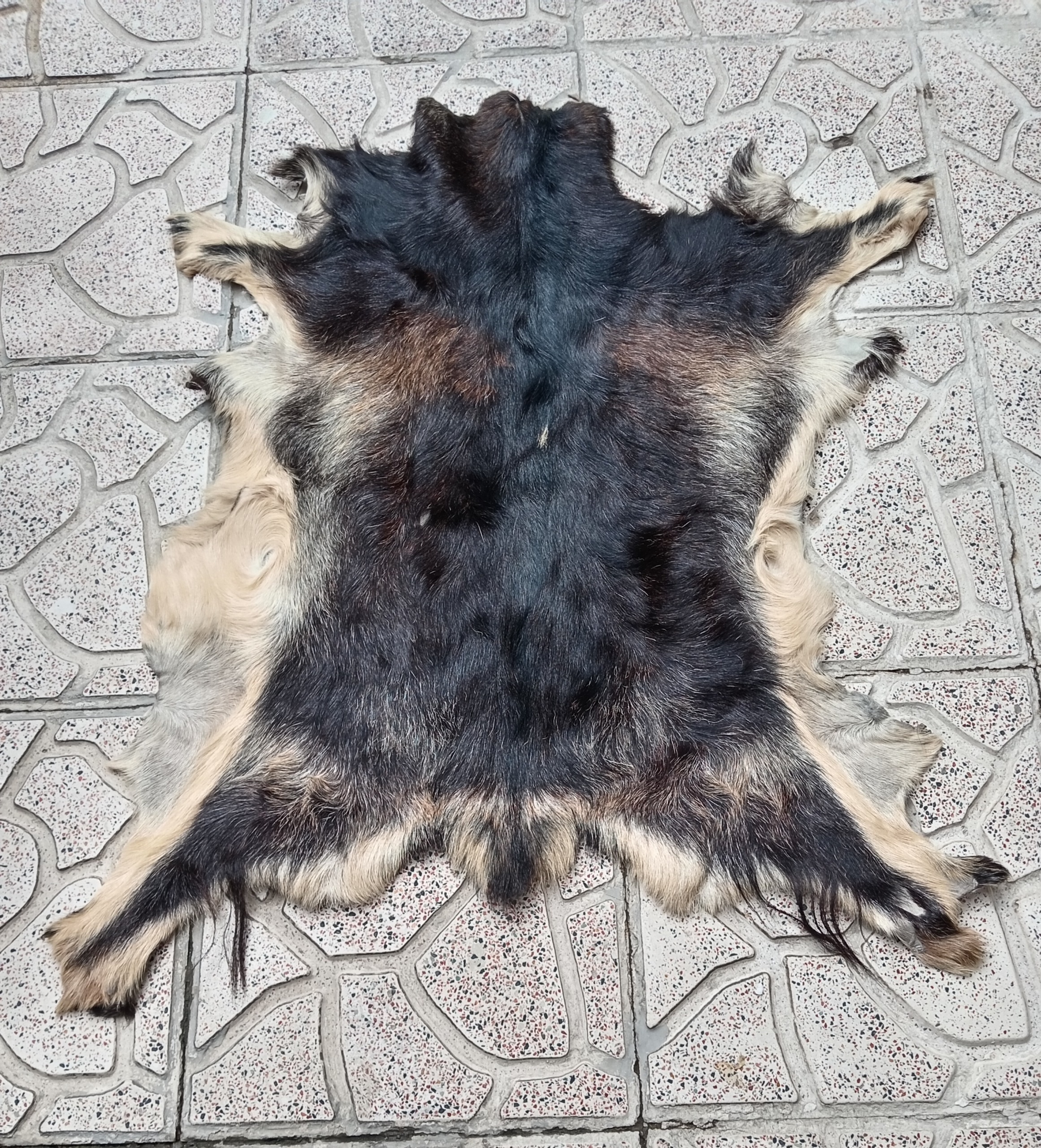 پوست طبیعی گوسفند و بز