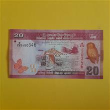 20