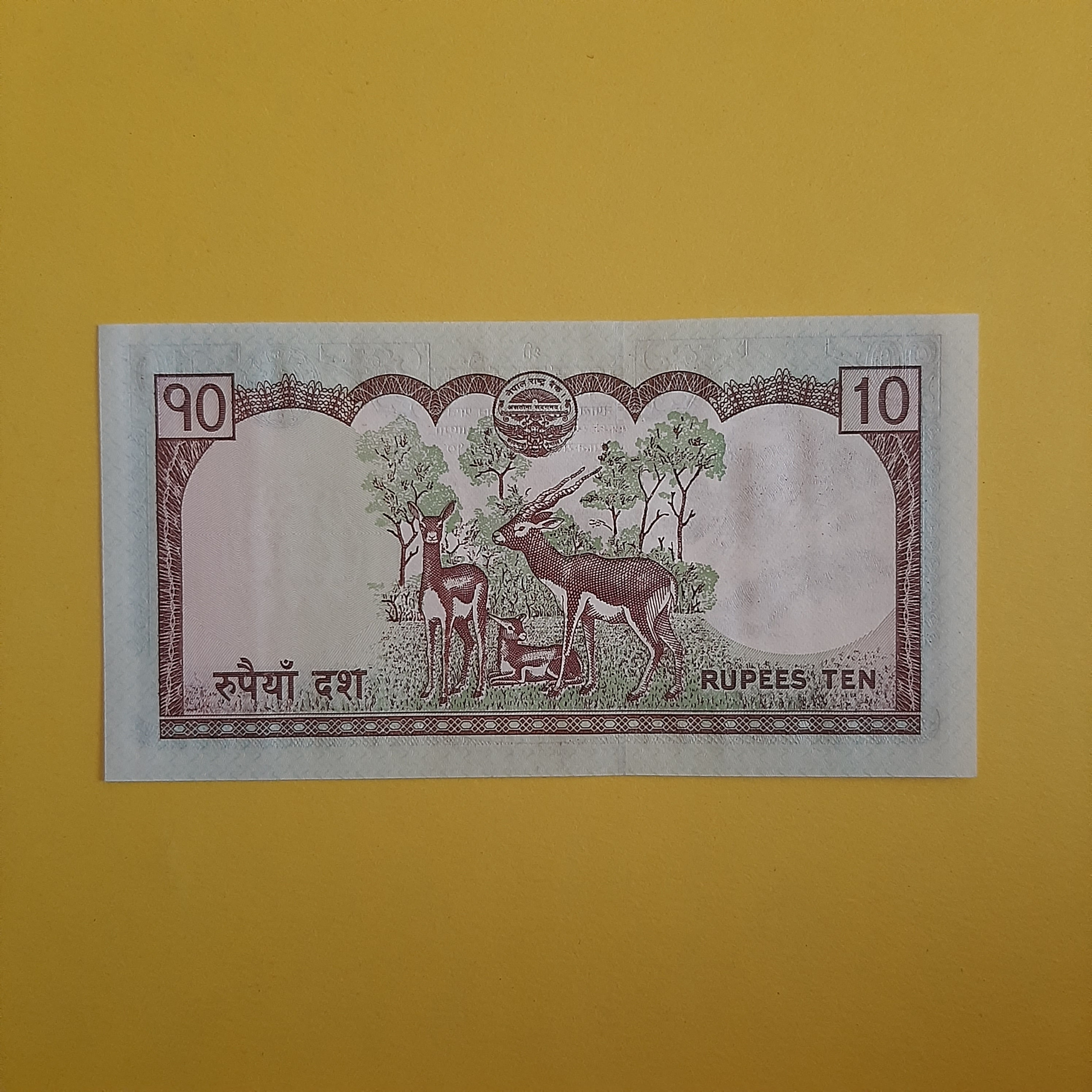 10 روپیه نپال