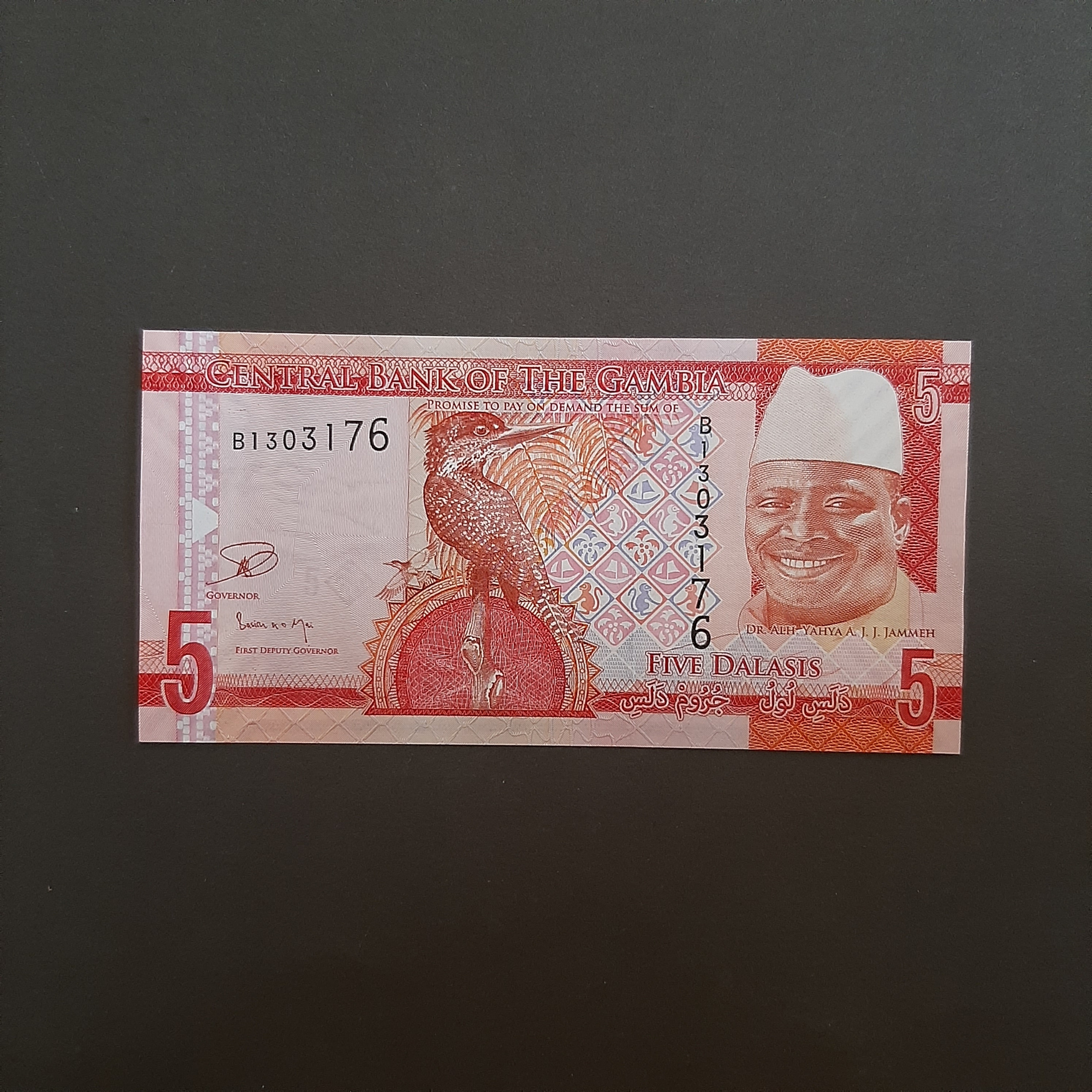 5 دالاسی گامبیا