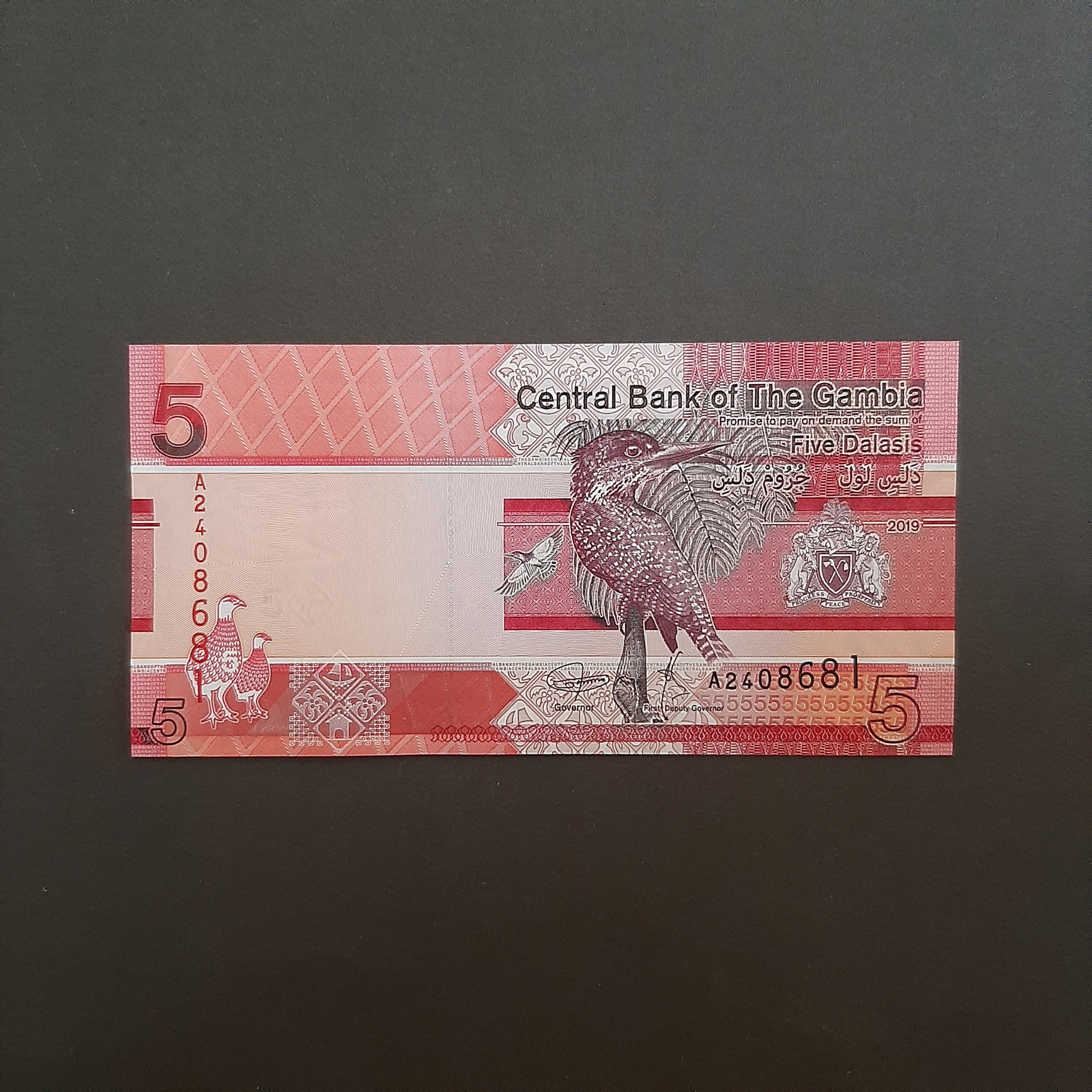 5 دالاسی گامبیا