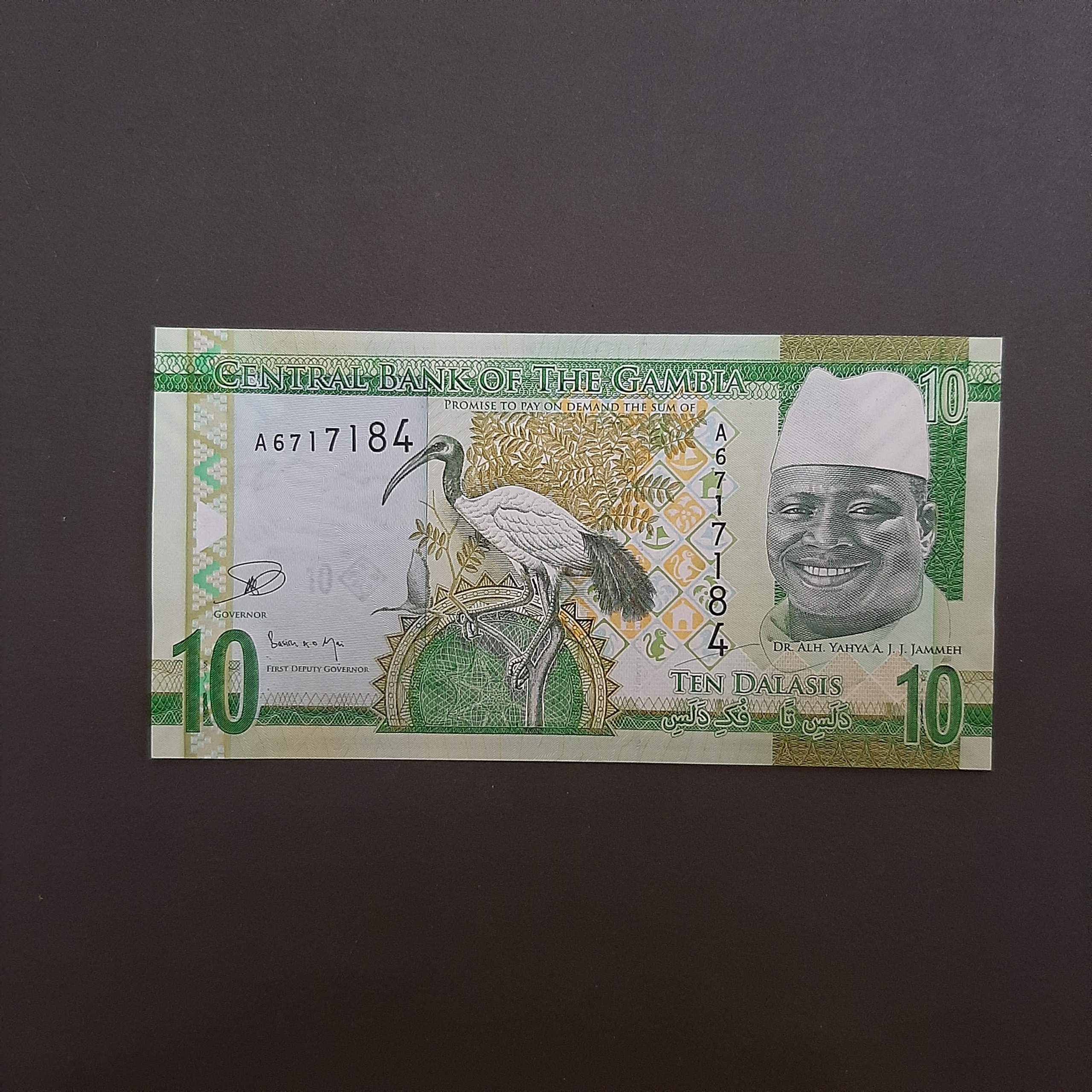 10 دالاسی گامبیا