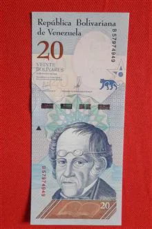 20