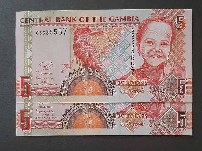 جفت 5 دالاسی گامبیا