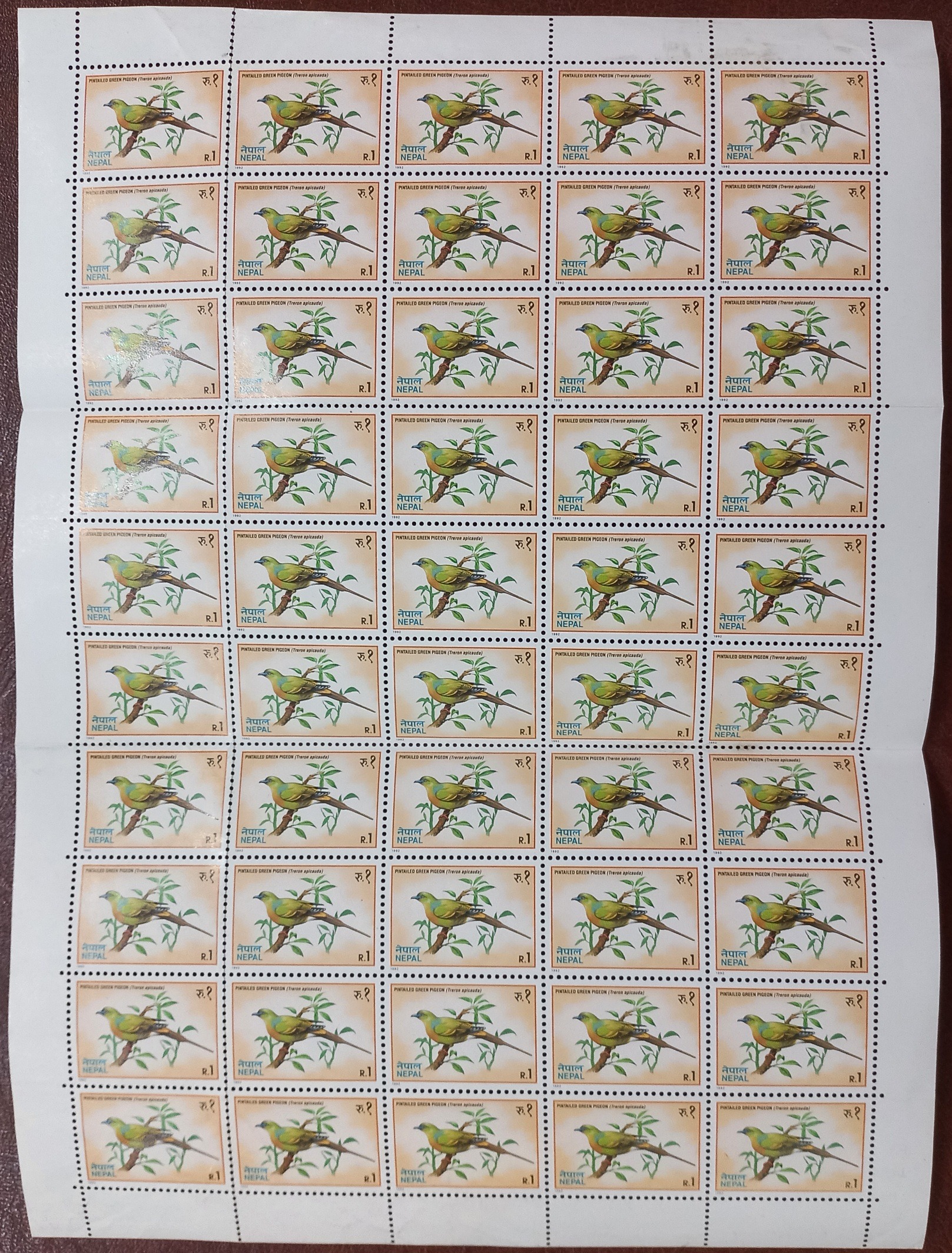 ورق شیت 50 عددی تمبر یادگاری پرندگان 1992 نپال