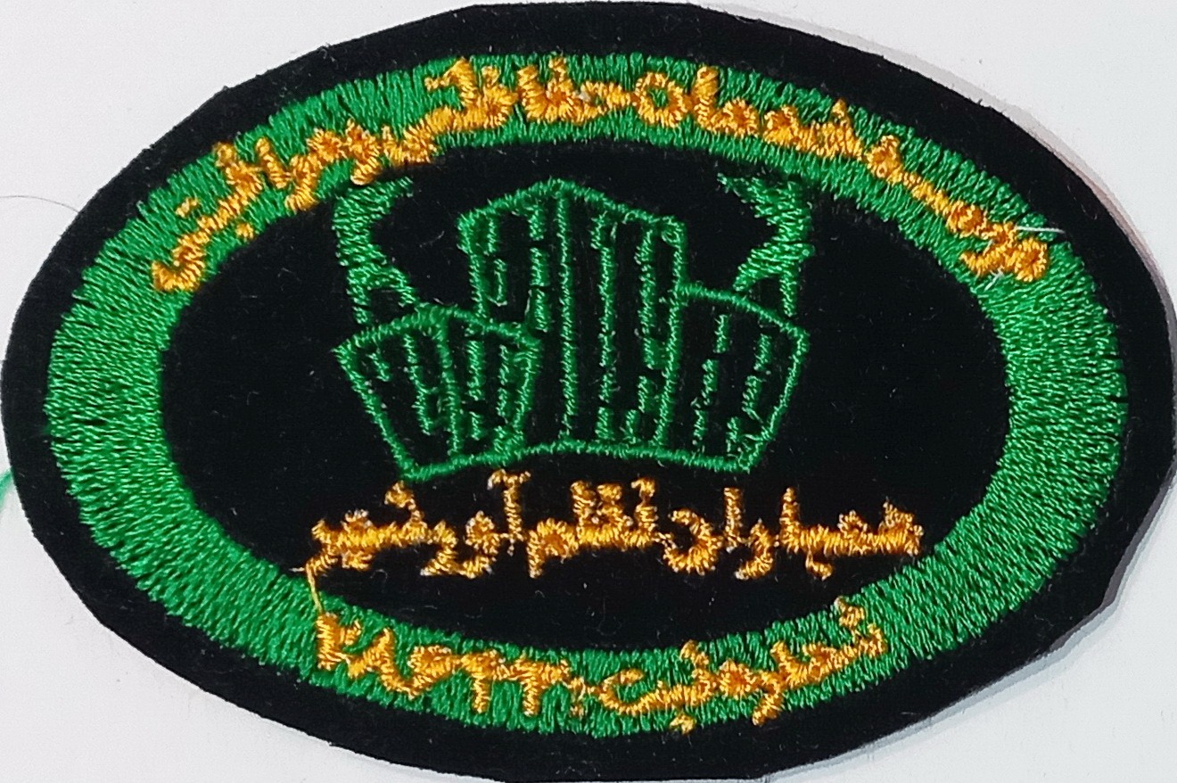 آرم موسسه حفاطتی مراقبتی همیاران نظم آور شهر