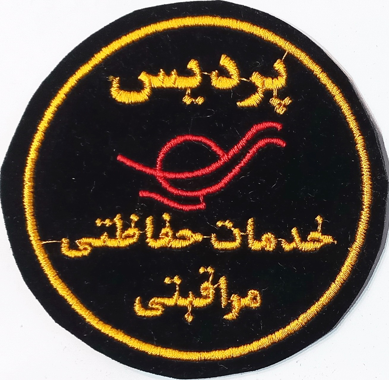 آرم موسسه حفاطتی مراقبتی پردیس