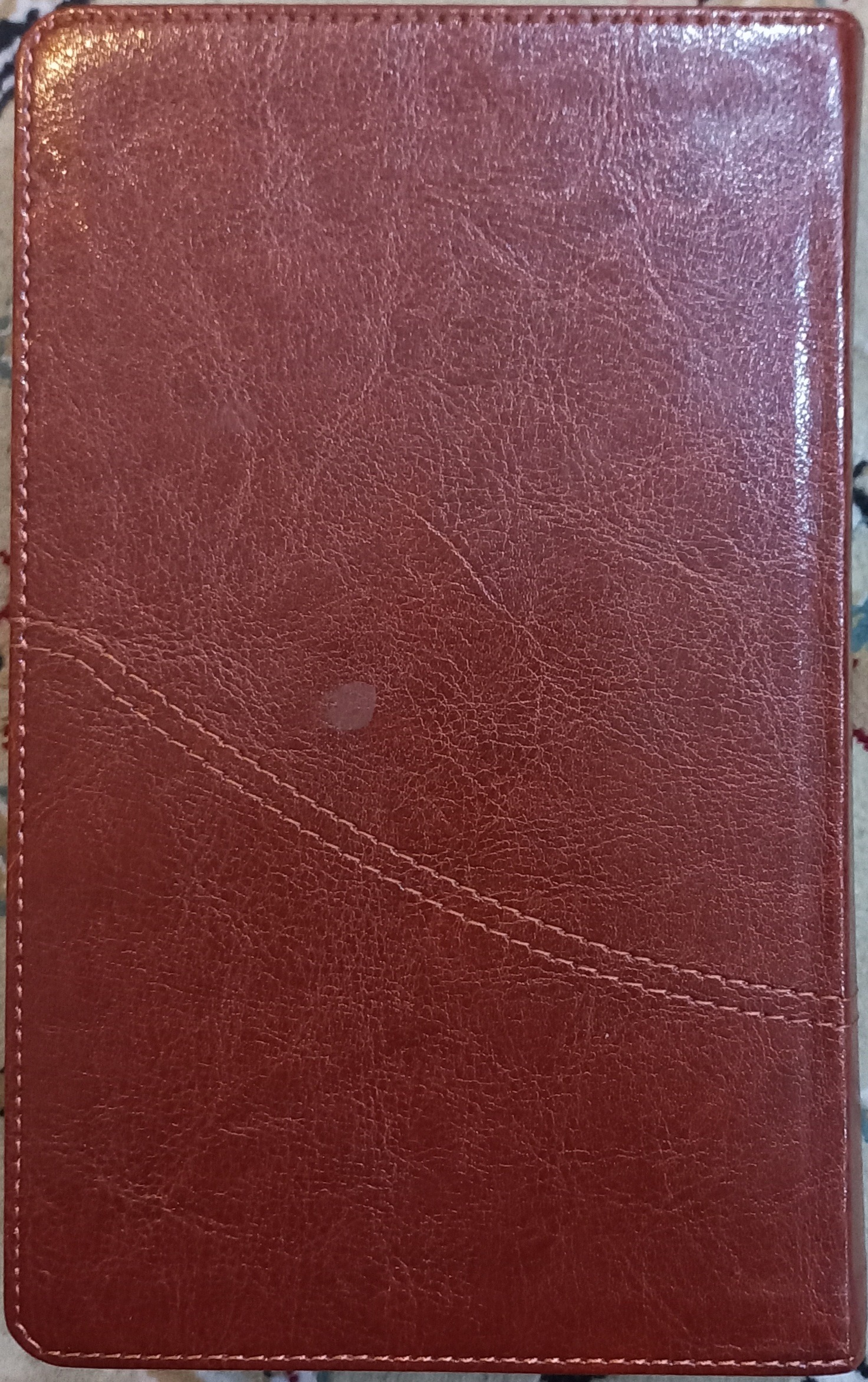 Holy Bible New Millennium Persian Version