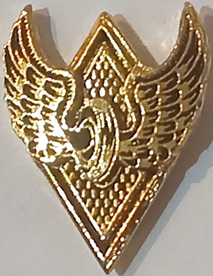 بج سنجاق سینه نشان راه آهن