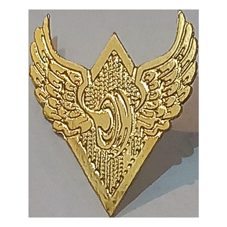 بج سنجاق سینه نشان راه آهن