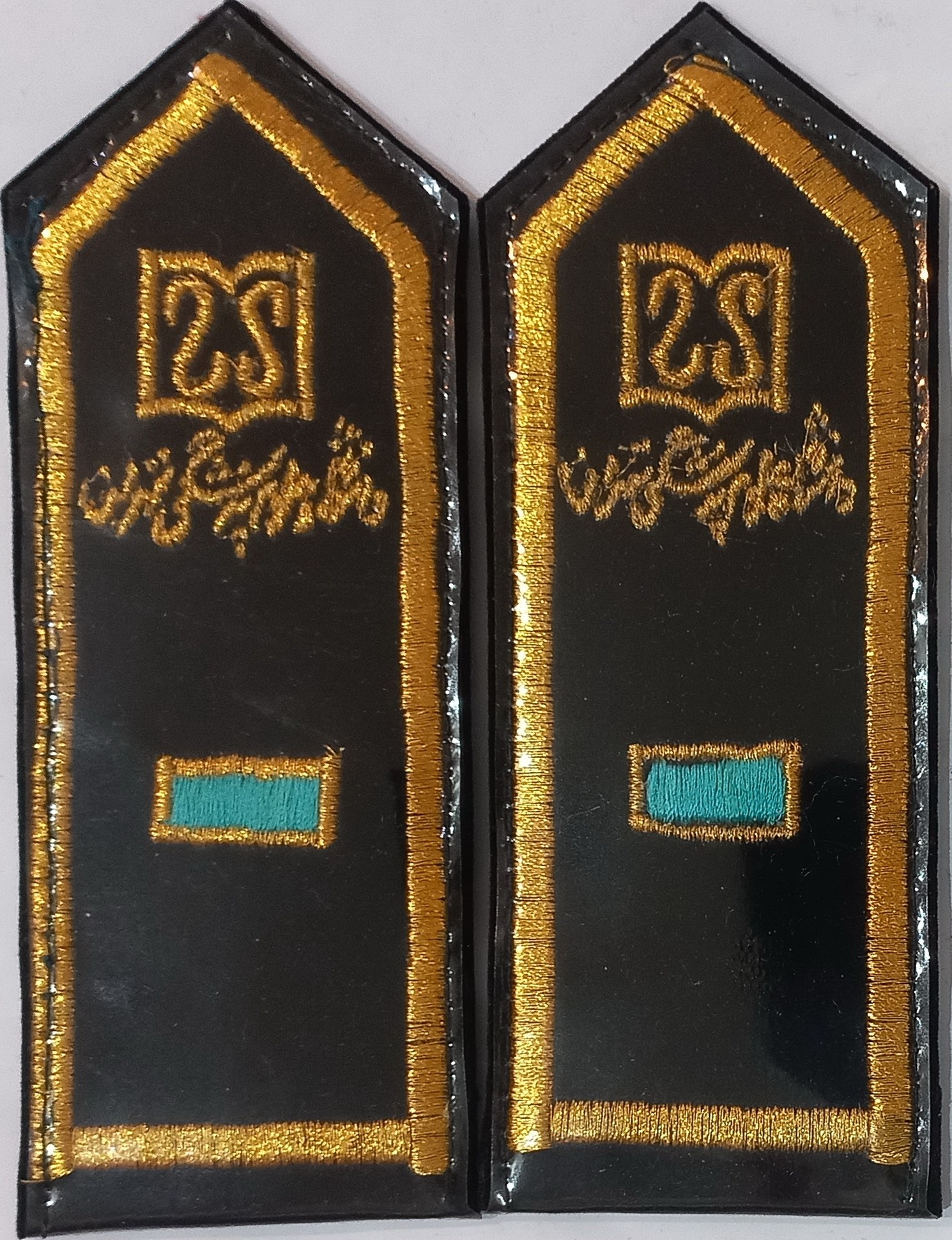 سردوشی دانشگاه علوم پزشکی تهران یک خط