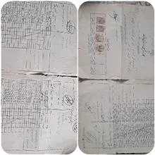 دانشنامه