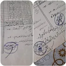 دانشنامه