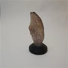 عقیق