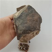 مونازیت
