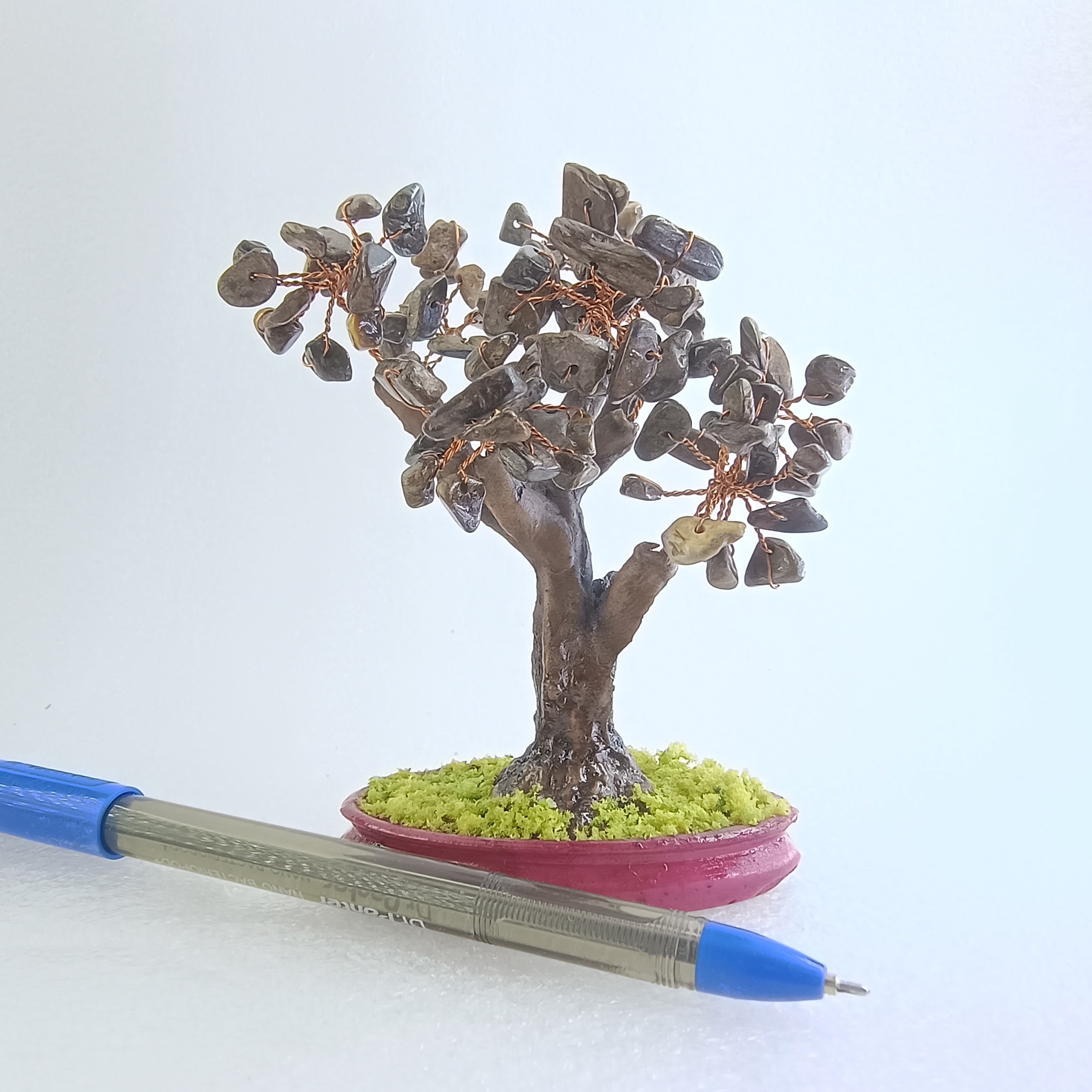 درختچه برونزیت چشم ببر جدید53