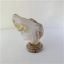 راف