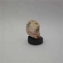 ارتوکلاز