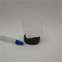 هالیت