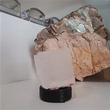 هالیت