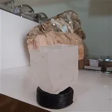 هالیت