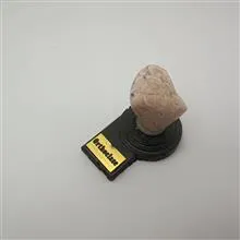 ارتوکلاز