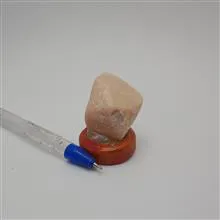 ارتوکلاز