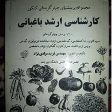 کارشناسی