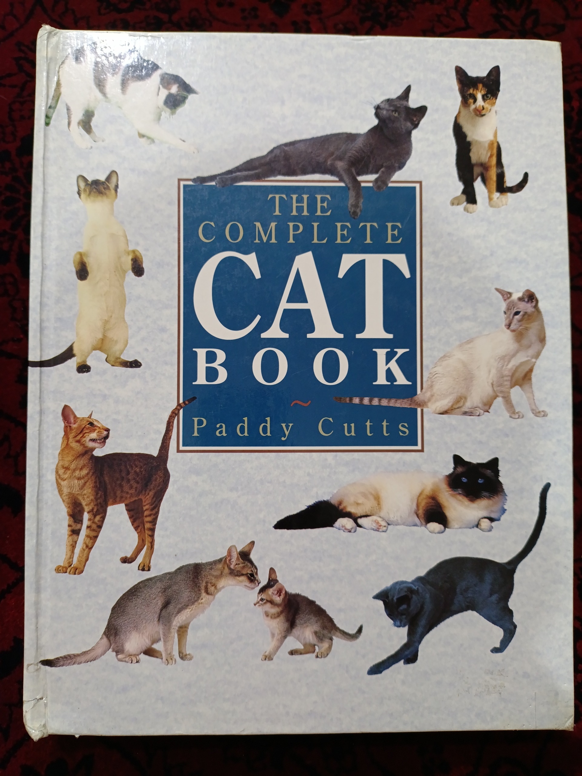 THE COMPLETE CAT BOOK by Paddy Cutts