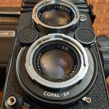 Yashica
