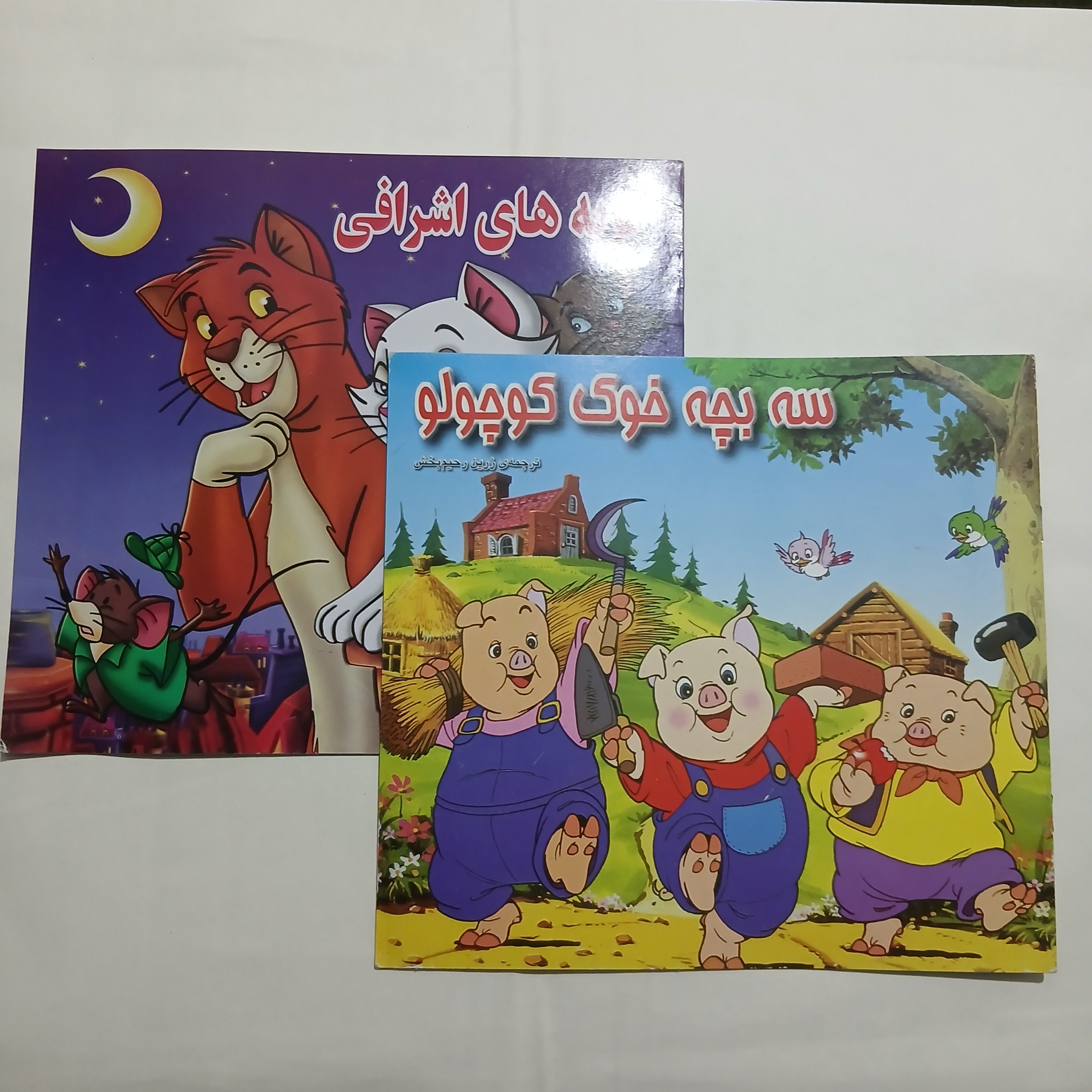 گربه های اشرافی سه بچه خوک کوچولو تمیز