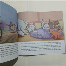 گربه