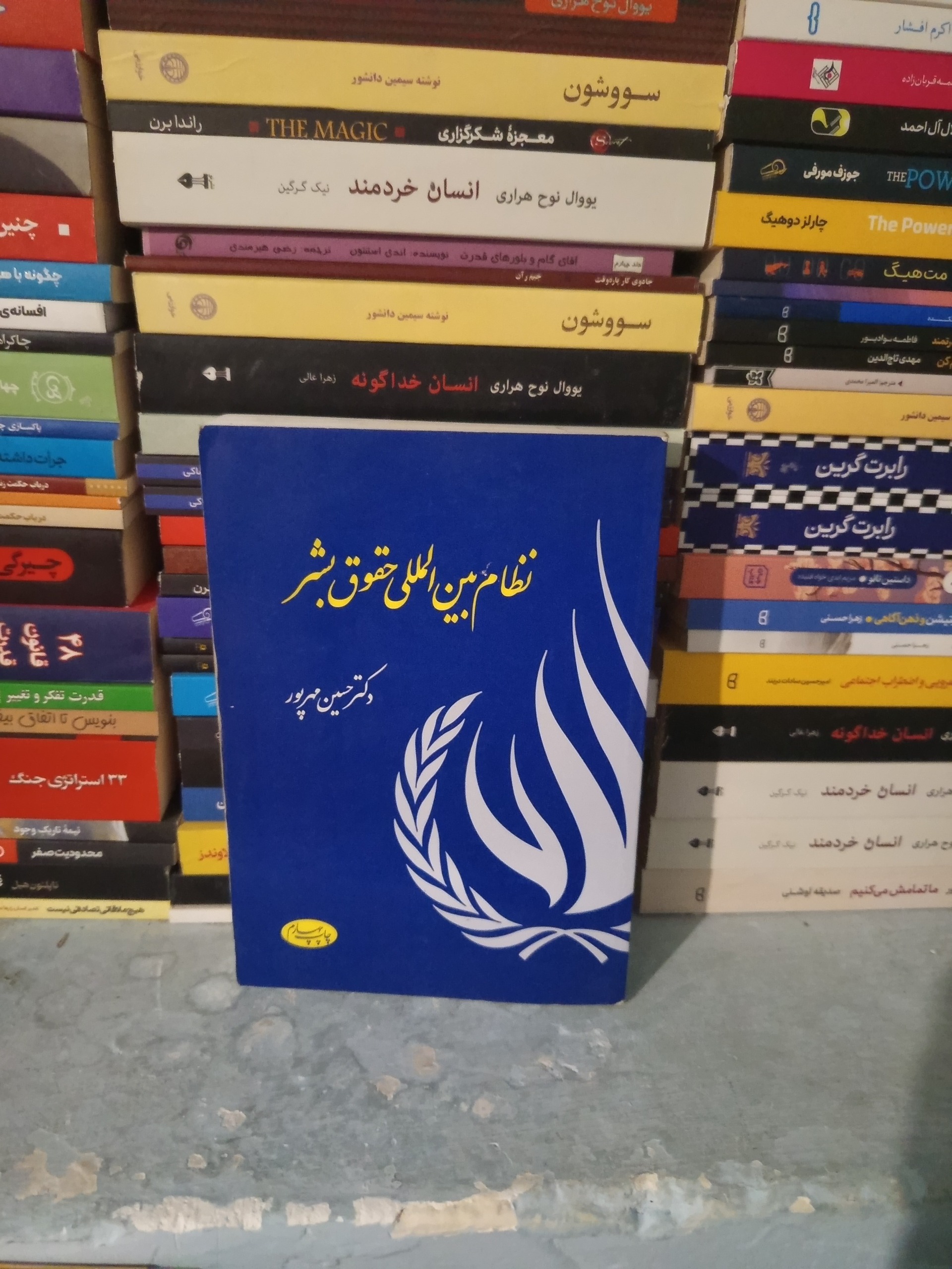 نظام بین الملل حقوق بشر اثر حسین مهرپور