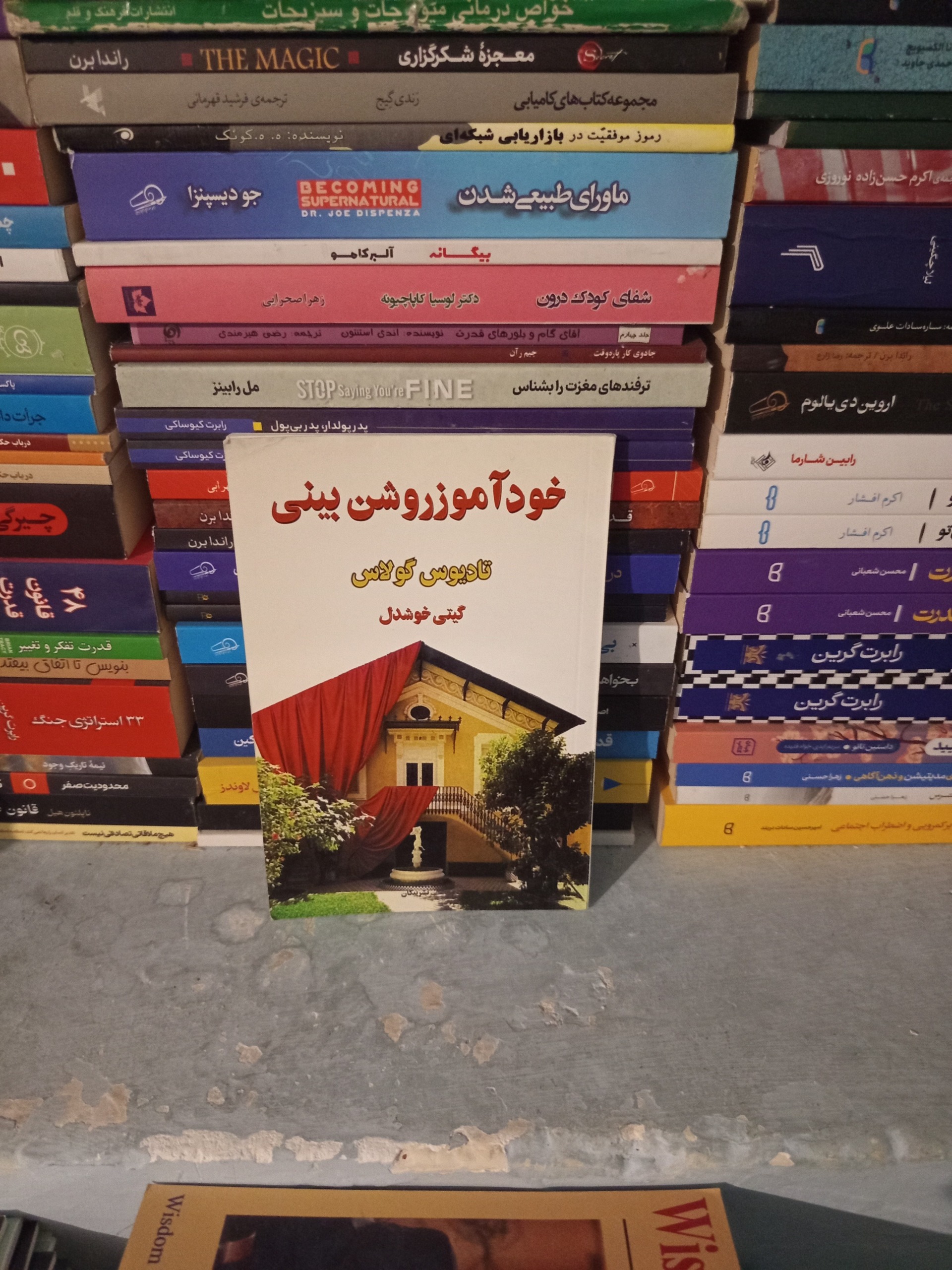 خودآموز روشن بینی اثر تادیوس گولاس