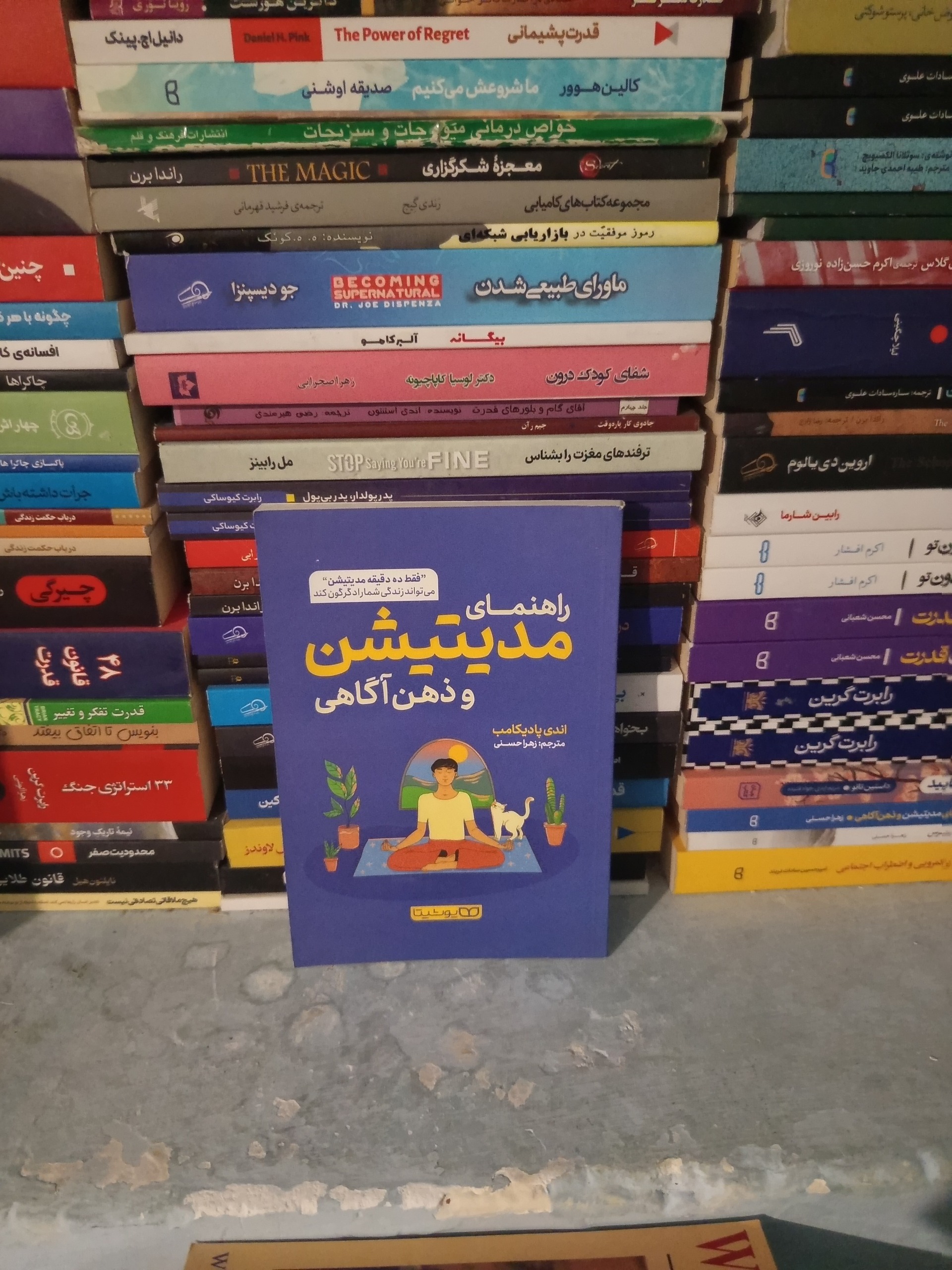 راهنمای مدیتیشن و ذهن آگاهی اثر اندی پادیکامب