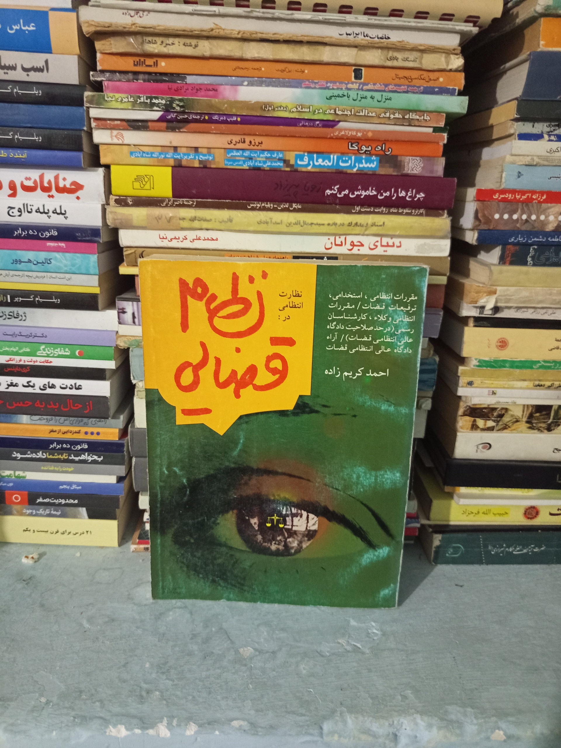 کتاب نظارت انتظامی در نظام قضایی اثرکریم زاده