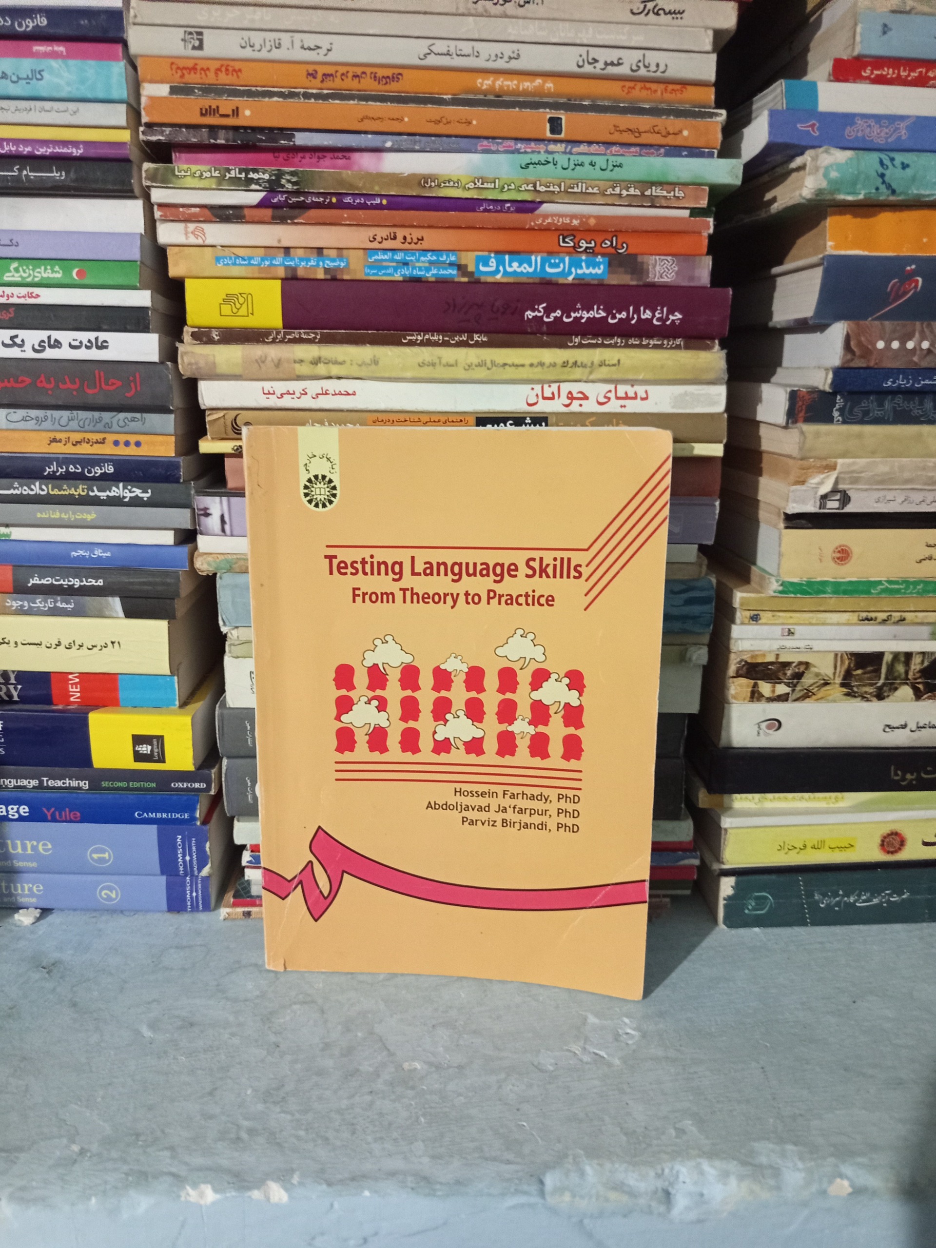 Testing Language Skills From Theory to Practice