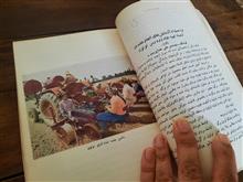 سمینار