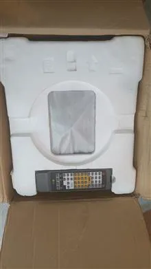 کلگی