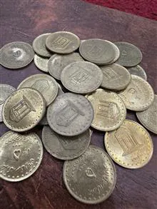 31عدد