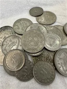 24