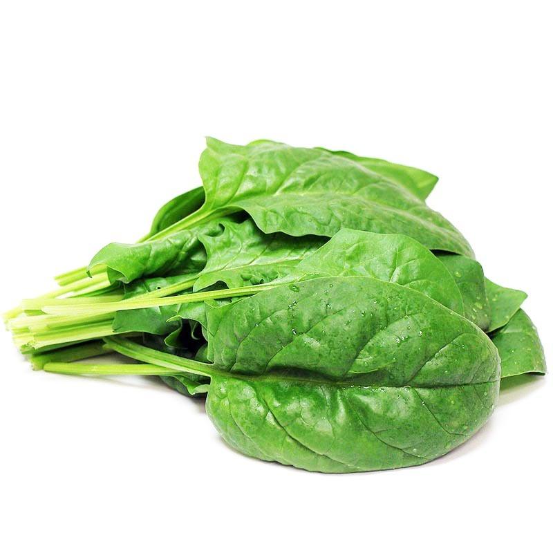 بذر اسفناج (300 عدد) مناسب 3 مترمربع