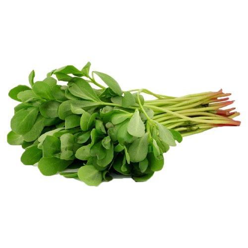 بذر خرفه (پرپین) 300 عدد مناسب 3 مترمربع