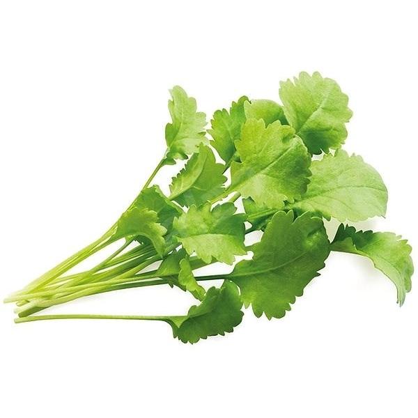 بذر شاهی برگ گشنیزی (1500 عدد) مناسب 3 مترمربع