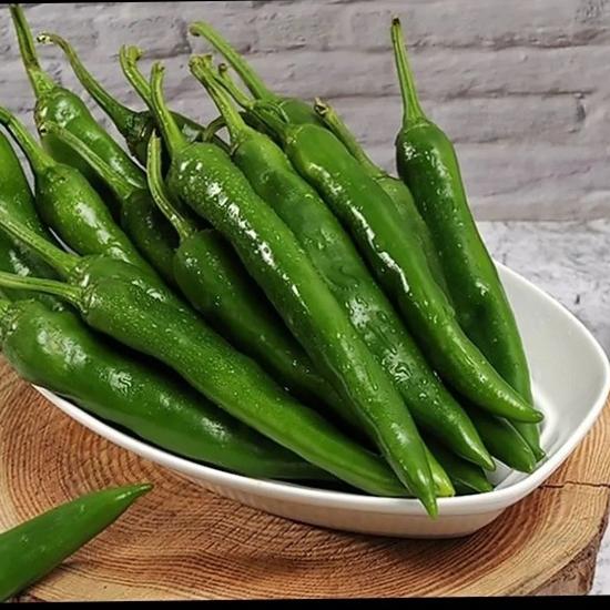 بذر فلفل سبز تند (10 عدد)