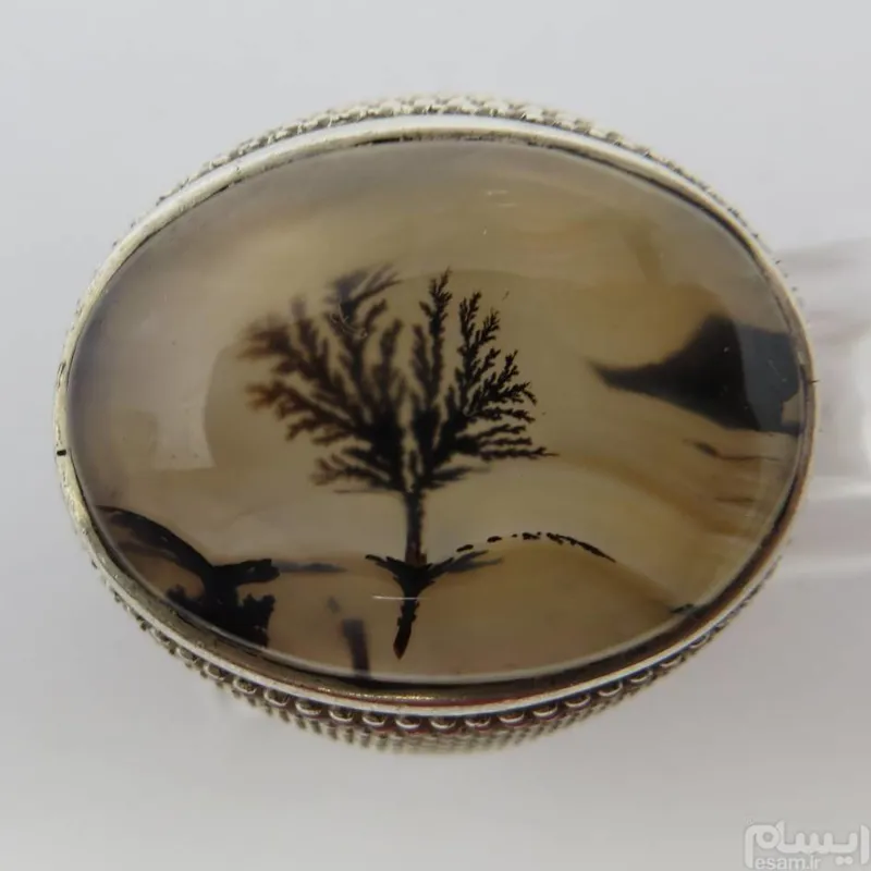 انگشتر شجر فاخر