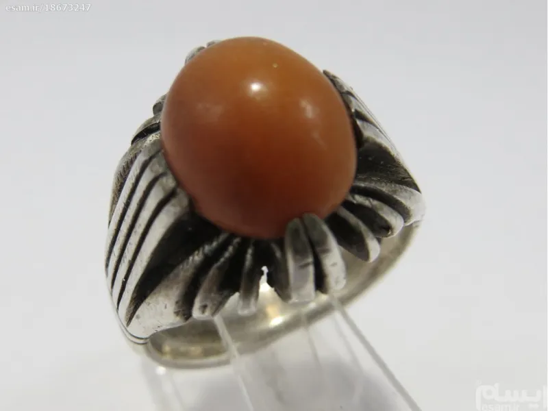 گوهرشب چراغ